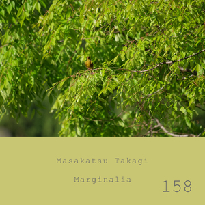 Marginalia #158