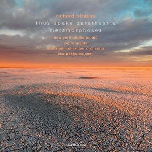 Metamorphosen, TrV 290