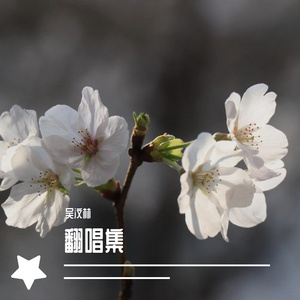 清明·为伊消得人憔悴（原唱：龚琳娜）