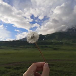 围棋少年（cover:姜必群）