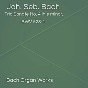 Trio Sonate No. 4 in e minor, BWV 528-1 (Bach Organ Works in January)