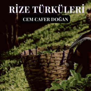 Kızıl Ağaç Yaprağı