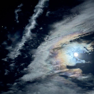 スポットライト (Demo ver.)