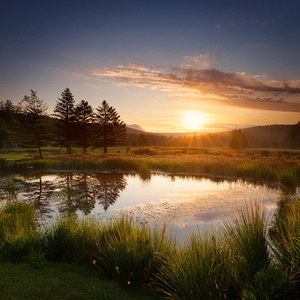 Desenrollando Capas De Sonido