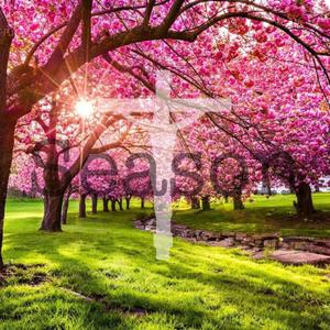 Reviving (feat. Ezra 9 8-15)