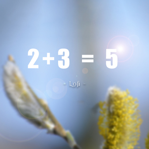 2+3=5 (Lofi)