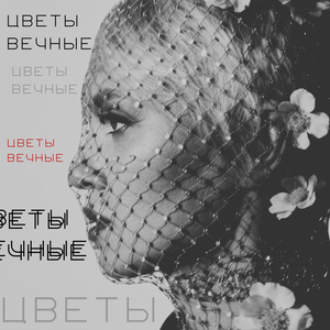 Цветы вечные
