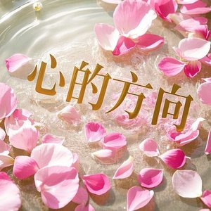 心的方向