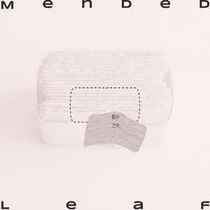 The Mended Leaf (修补之叶)