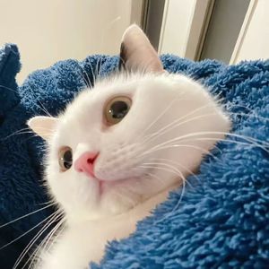 无法戒掉的怀念