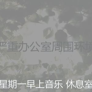 温和星期一梦想
