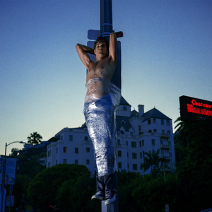 A Night in Hollywood