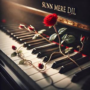 Sunn Mere Dil