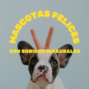 Colitas Meneándose