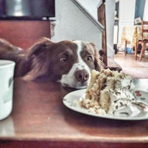 all i think about now