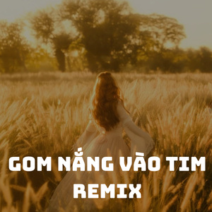 Gom nắng vào tim (remix)
