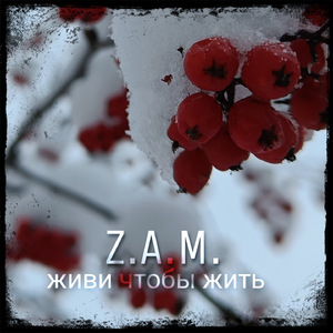 Несказанные слова