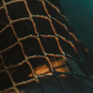 Når de ord, vi har brug for skyder op af sig selv, får vi en ny sang