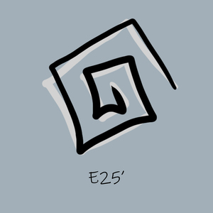 E25'