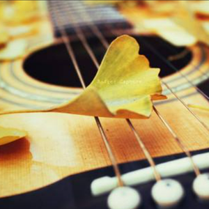 你是我最爱的人