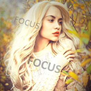 Focus