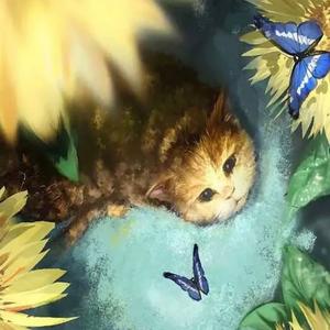 宗介爱喝鱼头汤