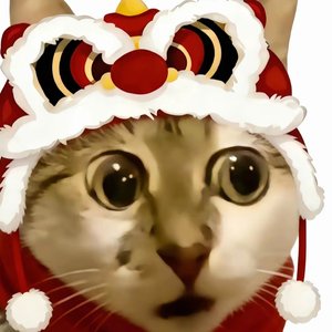 MONTAGEM FELL DOWN.wav