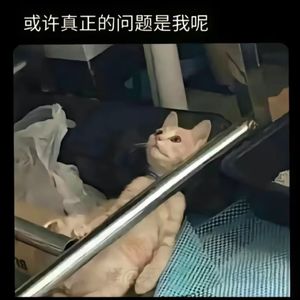 暗恋-整曲 伴奏