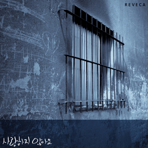 사랑하지 않아요