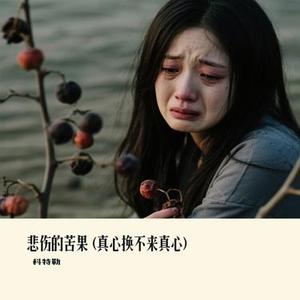 悲伤的苦果 (真心换不来真心) (Cover 王娜)
