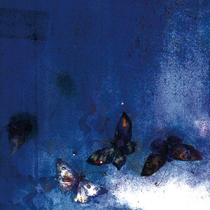 Asagiri (English Version)