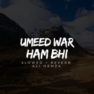 Umeed War Ham Bhi Lofi