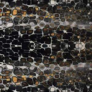 Shadowish Enigmatical Unpoetic