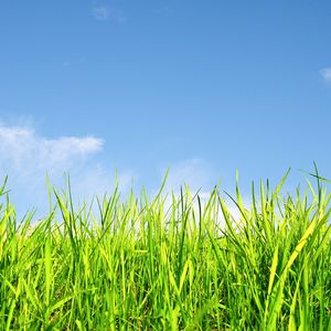 钢琴白噪音里的入眠之约