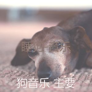 睡觉的小狗(背景音乐)