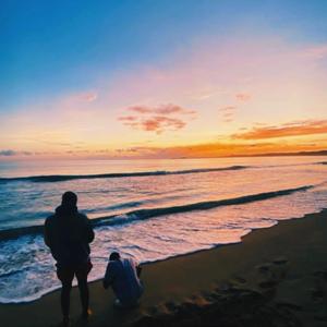 NITES4OCAZN. (feat. Qualyne)