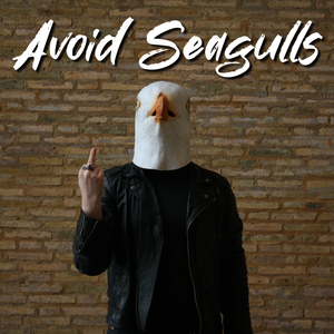 Avoid Seagulls