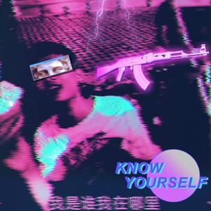 自认为是蒸汽波（翻自 岡村孝子）