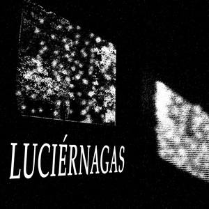 Luciérnagas