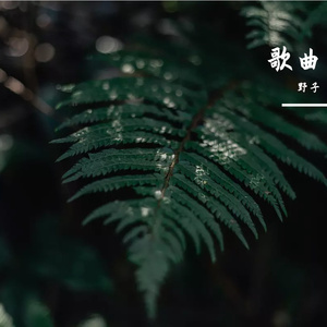 长相思·折花枝