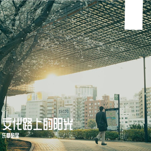 文化路上的阳光