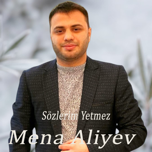 Sözlerim Yetmez