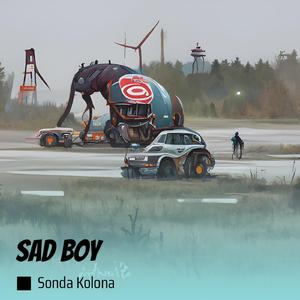 Sad Boy