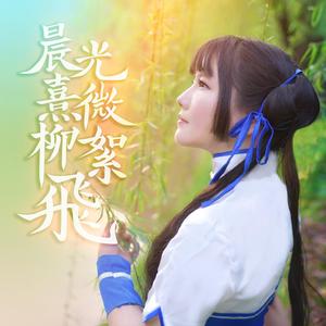 晨光熹微柳絮飞（古筝版·速度72）