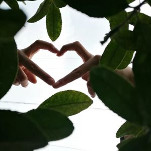 把星光还给夜空