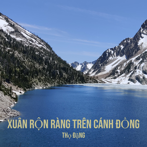 Xuân Rộn Ràng Trên Cánh Đồng