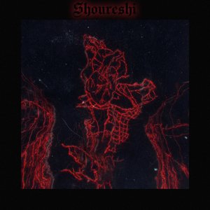Shoureshi