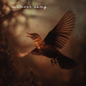 Winter Song