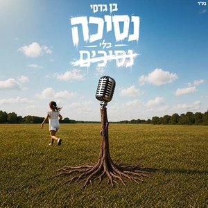 נסיכה בלי נסיכים