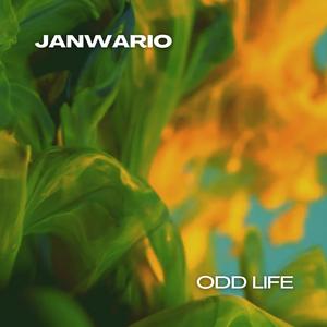 Odd Life